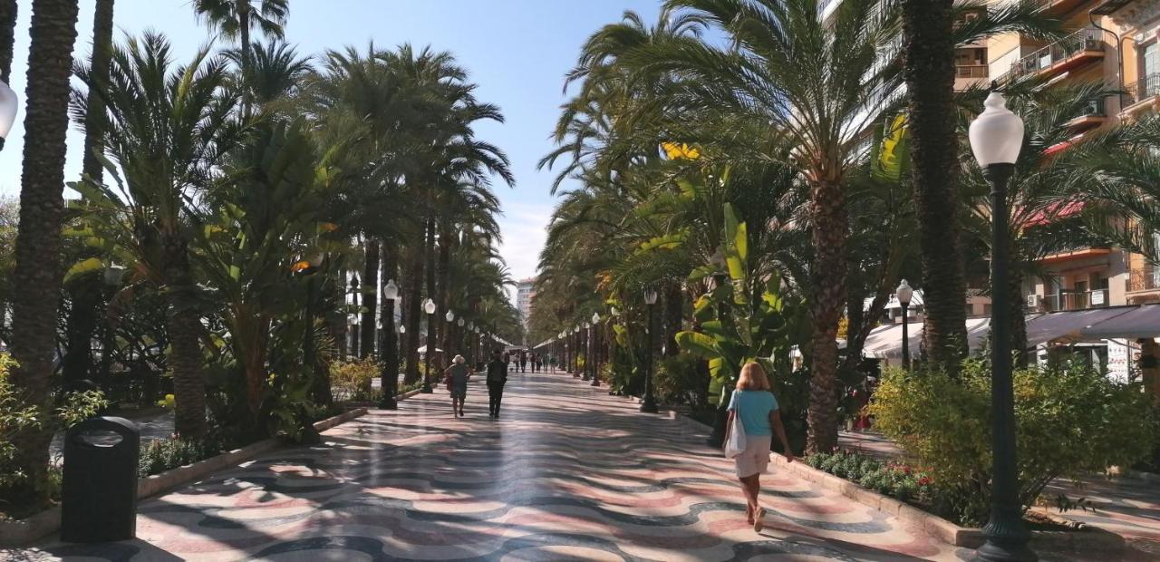 Piso Casco Historico Alicante Ngoại thất bức ảnh